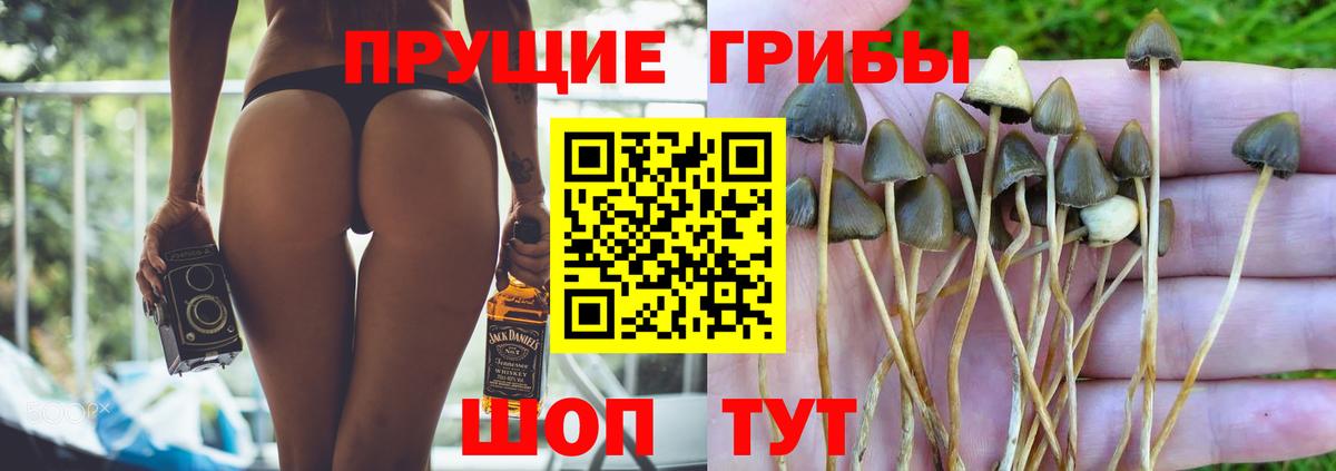 Октябрьский  магазин  наркотиков  Вход с VPN  Галлюциногенные грибы прущие грибы 